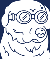 Dog in the Pool Logo